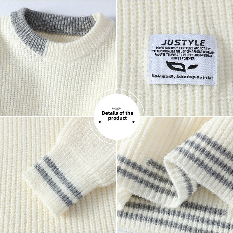 Men Loose Knit Sweater