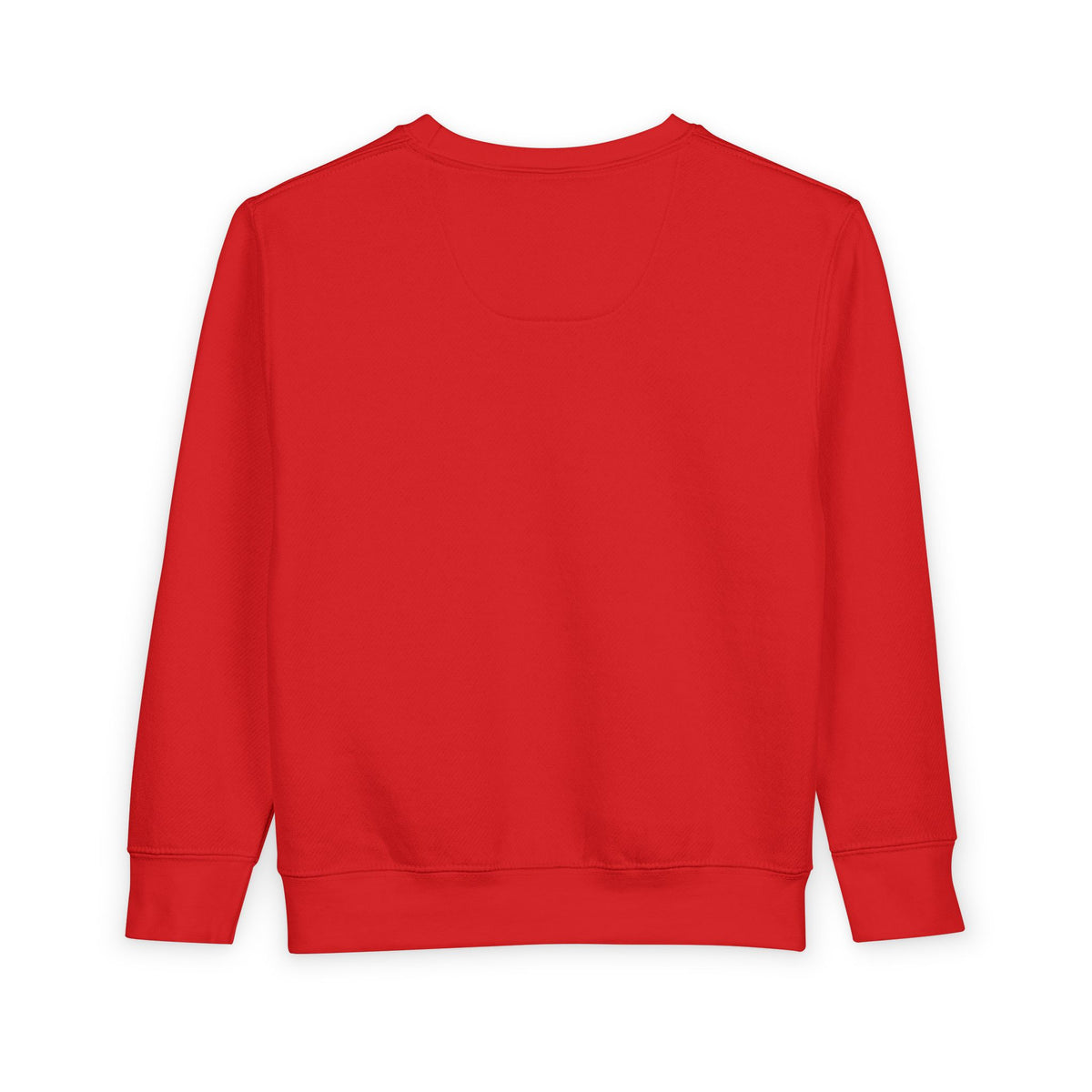 Toddler Christmas Sweatshirt — Cute Woodland Animals "Merry Christmas" Holiday Crewneck